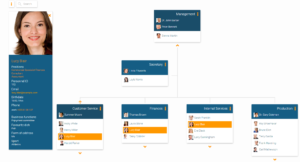 Assign an employee to multiple positions in the org chart
