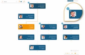 Determine visualization rules for a quick overview in your online org chart in orginio